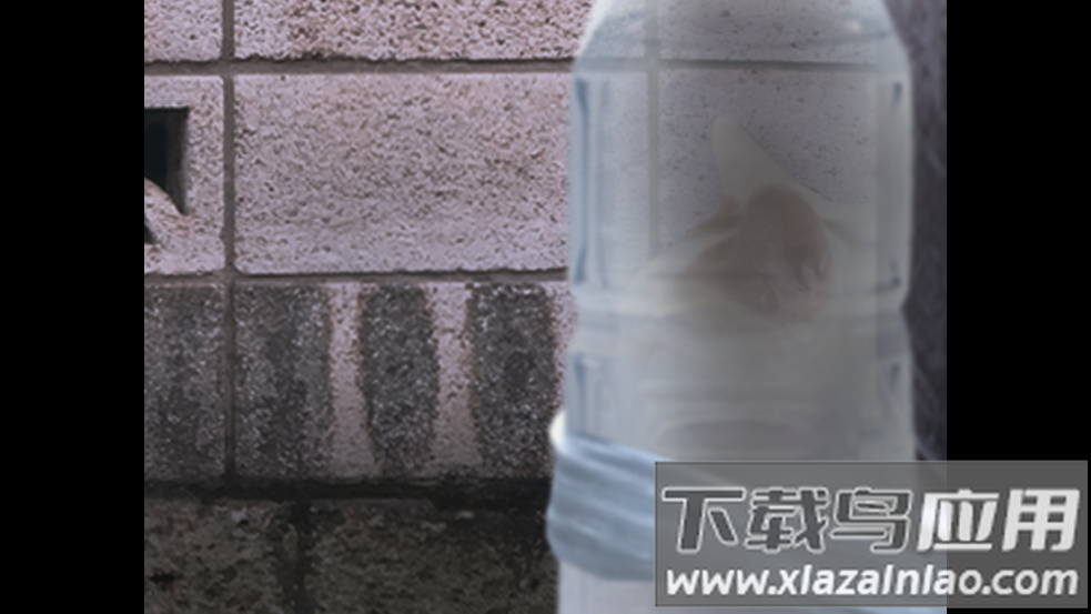 翌日猫之怪奇谭手游最新版截图1