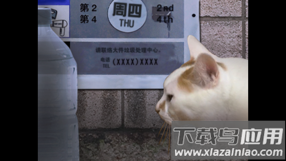 翌日猫之怪奇谭手游最新版截图2