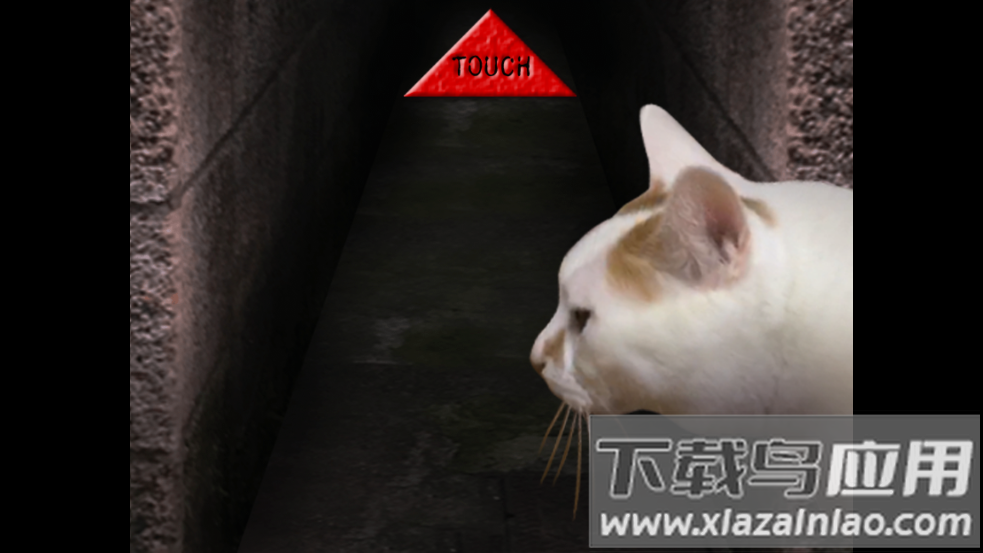 翌日猫之怪奇谭手游最新版截图3