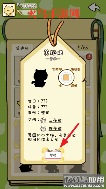 猫咪庭院物语游戏