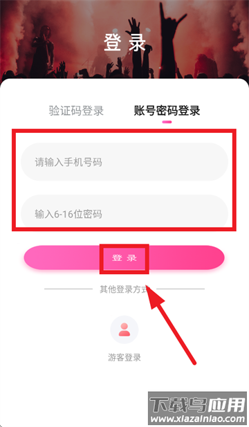 桃花app(给你找一朵桃花)