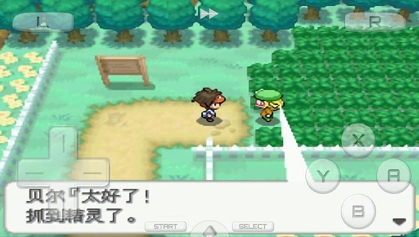 口袋妖怪白2金手指最新版截图2