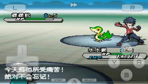 口袋妖怪白2金手指最新版截图3