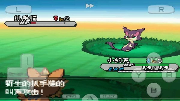 口袋妖怪白2金手指最新版截图4