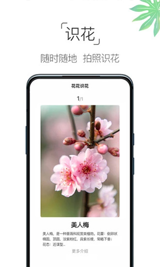 养花大全app最新版截图2