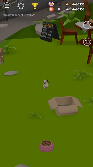 猫猫与鲨鱼正版