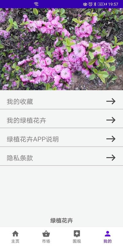 绿植花卉最新版最新版截图2