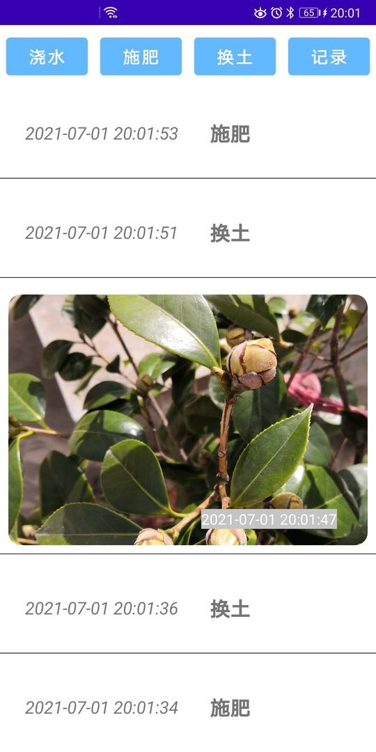 绿植花卉最新版最新版截图3