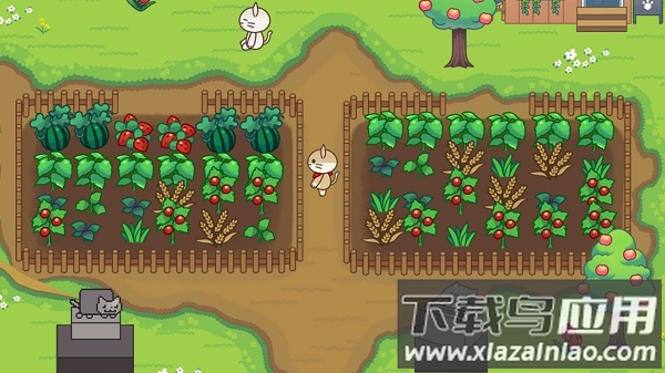 猫咪之森汉化版截图