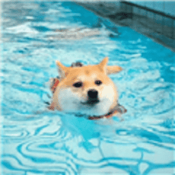 小杰安卓10框架最新版本