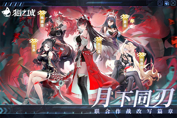 猫之城官方版最新版截图1