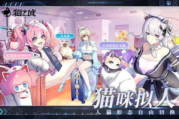 猫之城官方版最新版截图3