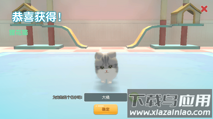 养了个猫联机版最新版截图1