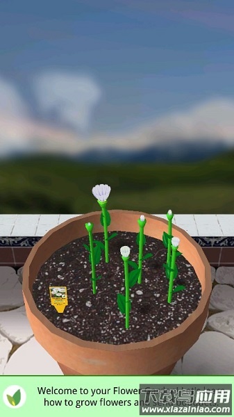 flower garden中文版