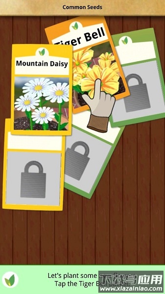 Flower Garden手机版最新版截图3