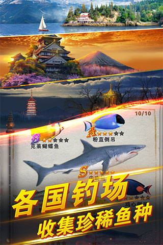 世界钓鱼之旅手机版最新版截图1