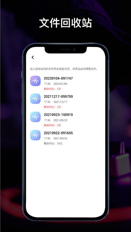 全能录音机免费版截图3