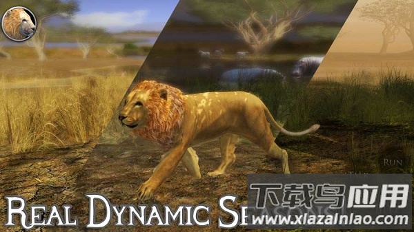 终极狮子模拟器2无限经验修改版截图