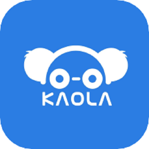 上海考拉陪驾官方版