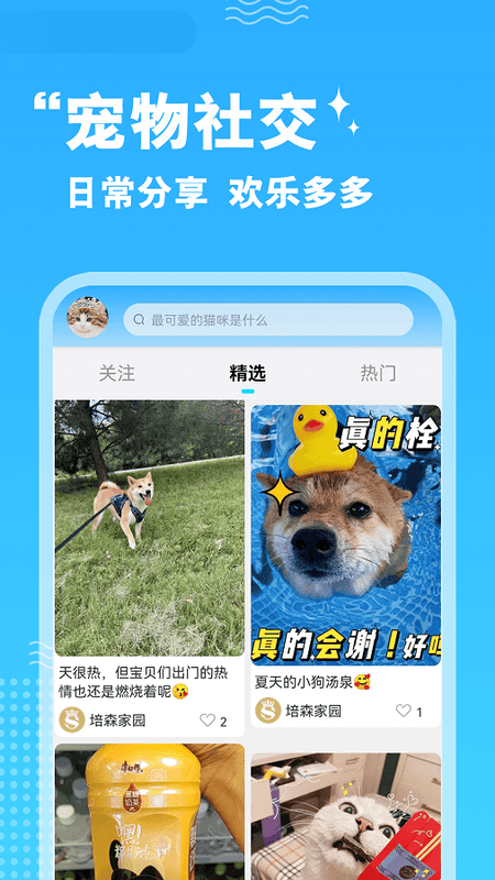 培森家园宠物官方版截图