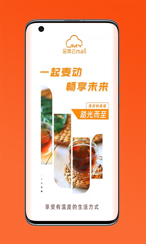 金麦云mal官方下载 金麦云MALL下载