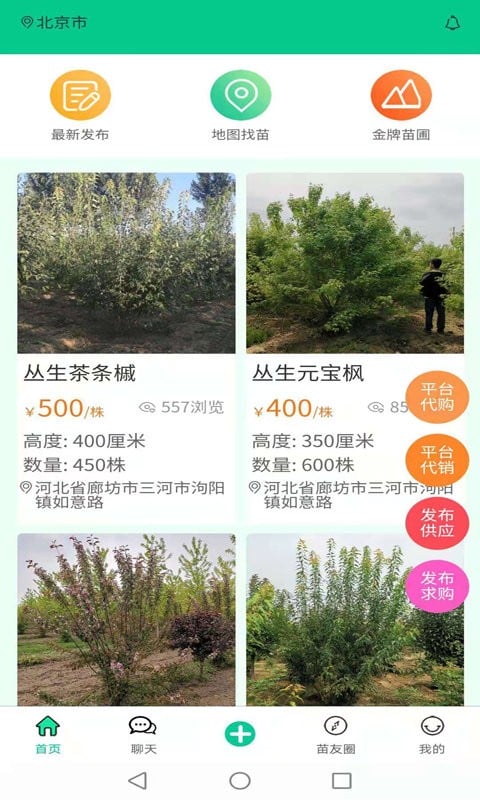 苗木人客户端最新版截图2