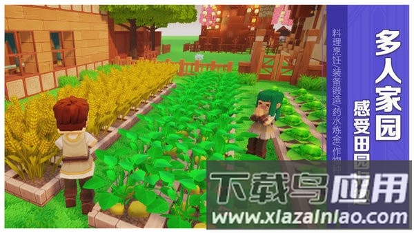 龙与家园手机版最新版截图2