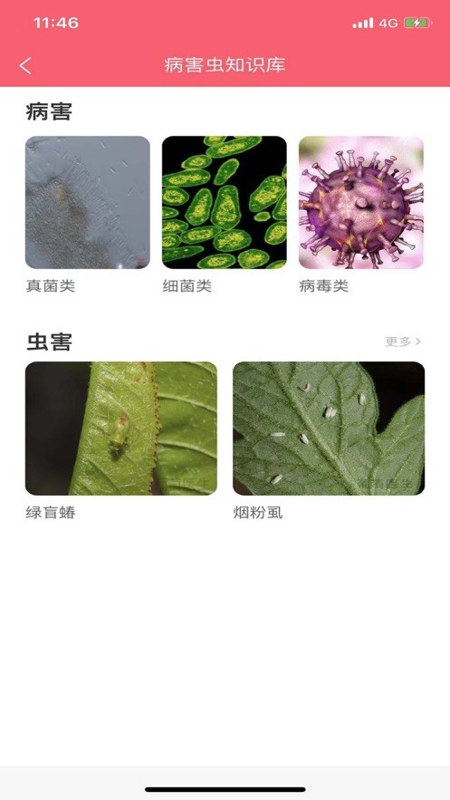 樱桃医生最新版最新版截图2