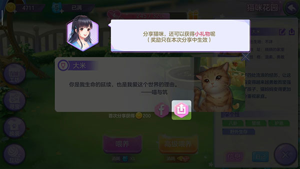 喵与筑游戏