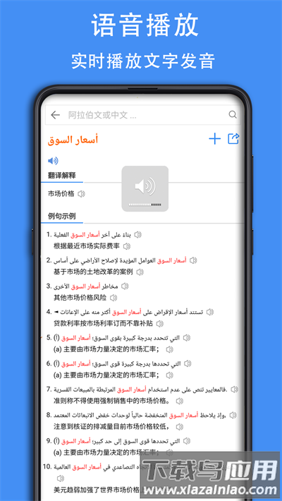 麦阿尼阿汉词典最新版截图4