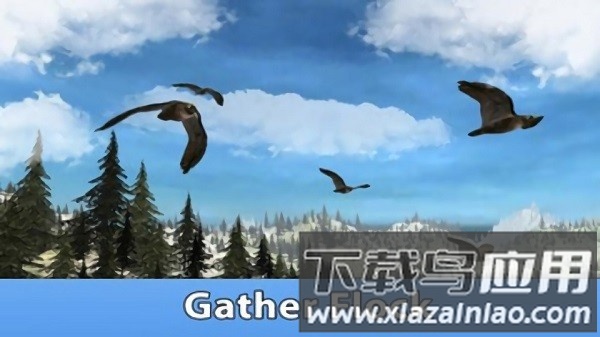 鹰鸟生存模拟器手机版最新版截图2