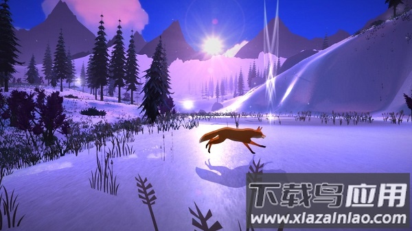 第一棵树手机版最新版截图2