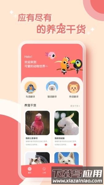 鸟语翻译器免费版最新版截图3