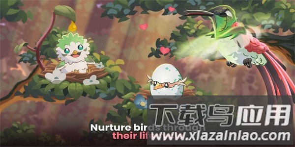 鸟类世界最新版最新版截图2