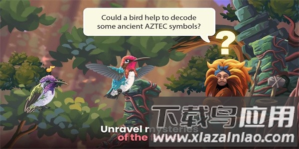 鸟类世界最新版最新版截图4