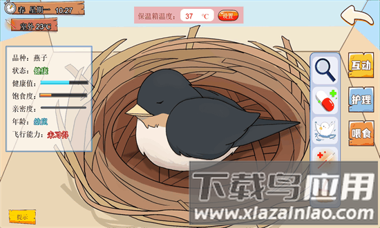 鸟巢手机版最新版截图3