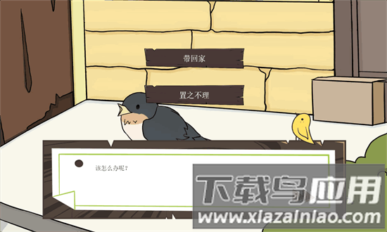 鸟巢手机版最新版截图4