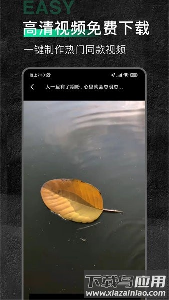 魔音素材软件截图3
