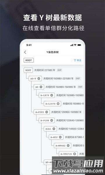 魔方祖源软件最新版截图5