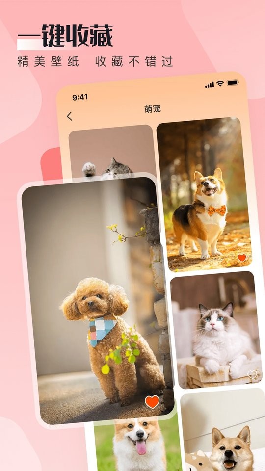 walp壁纸汉化下载