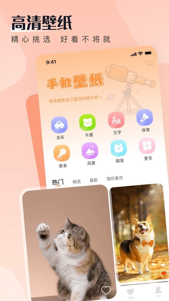 walp壁纸app最新版截图3