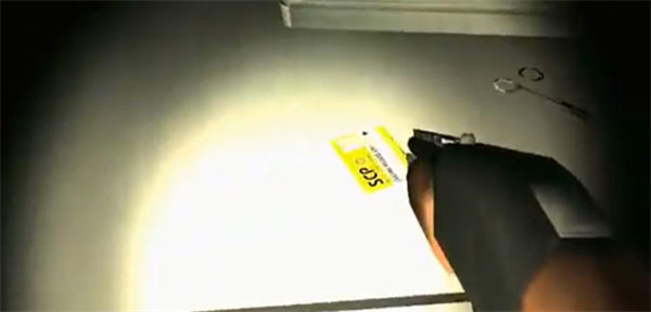 Specimen Zero中文联机版