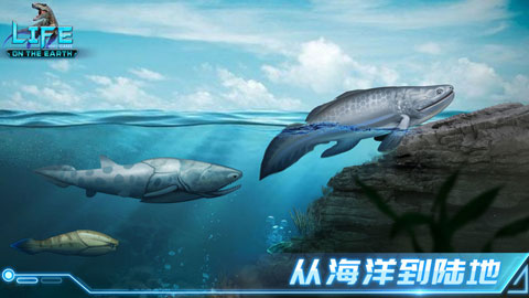 生命简史游戏最新版最新版截图2