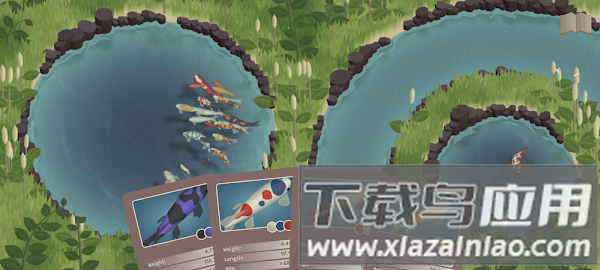 锦鲤农场手游(Koi Farm)截图1