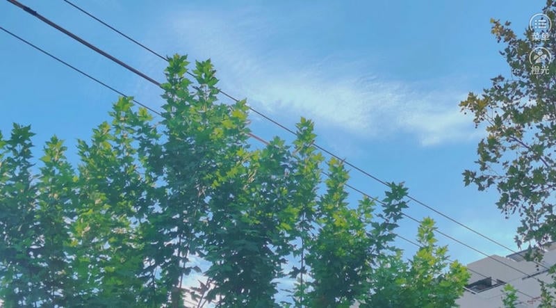 你是女巫吗清软金手指截图