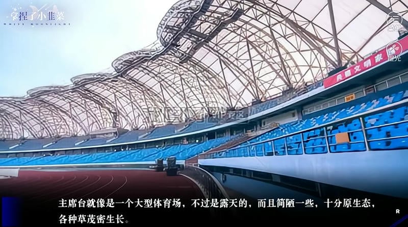 拿捏了小韭菜bts橙光破解版截图