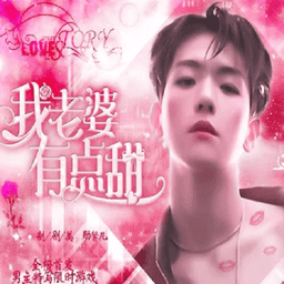 老婆有点甜完结破解版