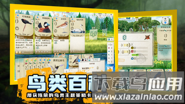 鸟类观察家最新版