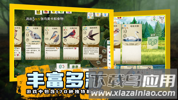 鸟类观察家游戏截图