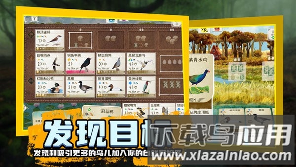 鸟类观察家游戏截图